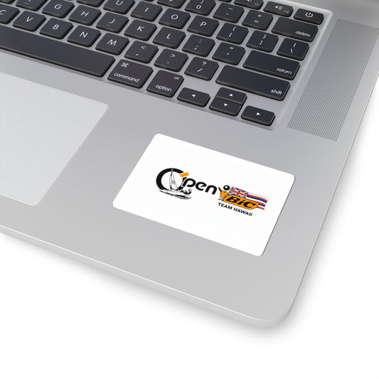 Open Bic Team Hawaii Sticker — Sailing Windsurfing Logo Kiss-Cut Sticker